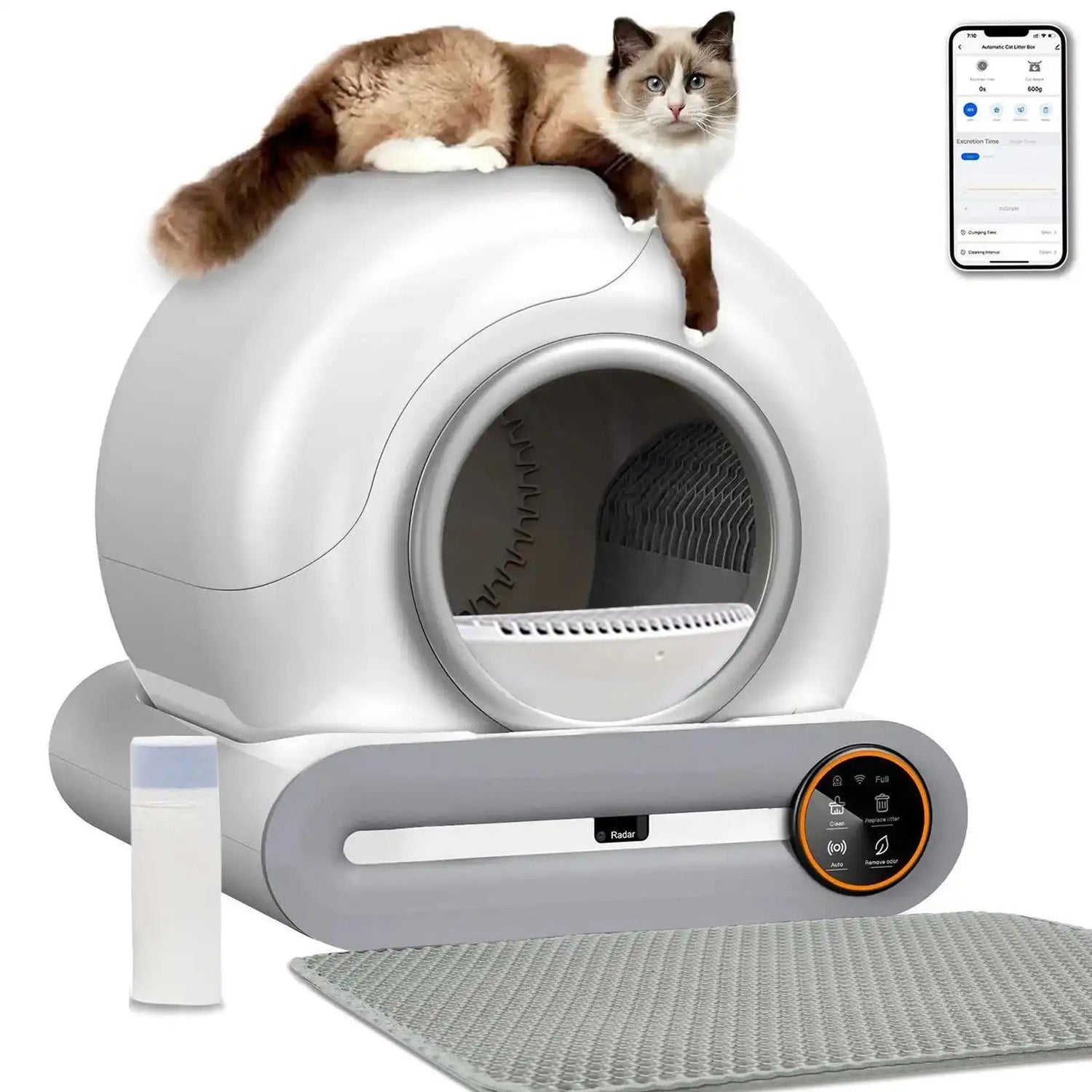 Litter Boxes