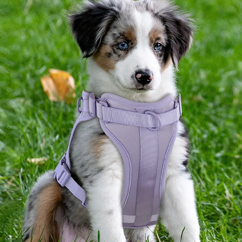 Double Dog Leash PVC Comfortable and Breathable Dog Harness and Leash Set Adjustable Chest Strap Collars - Harnesses & Leashes